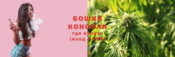 шишки Алзамай
