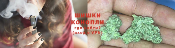 шишки Алзамай