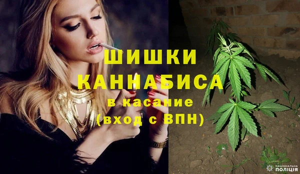 шишки Алзамай