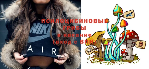 прущая мука Алексин