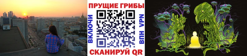 Псилоцибиновые грибы мухоморы blacksprut маркетплейс Волжский