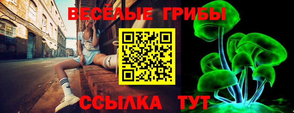наркошоп  Псилоцибиновые грибы ЛСД  Вход с VPN  Волжский 